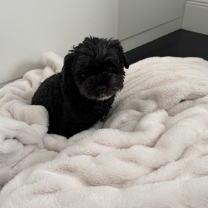 Fundraising Page: Jack & KC Cronin